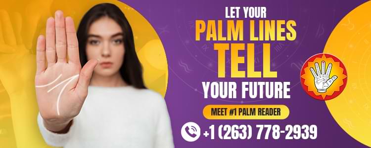 Let Your Palm Lines Tell Your Future